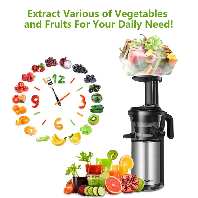 Stainless Steel Masticating Slow Auger Juicer Fruit and Vegetable Cold Press Juice - GadiGadPlus.com