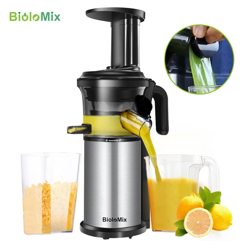 Stainless Steel Masticating Slow Auger Juicer Fruit and Vegetable Cold Press Juice - GadiGadPlus.com